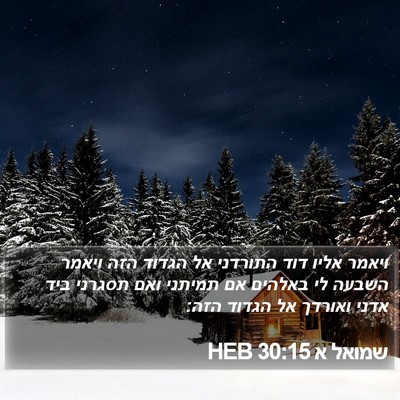 שמואל א 30:15 HEB Bible Verse Image