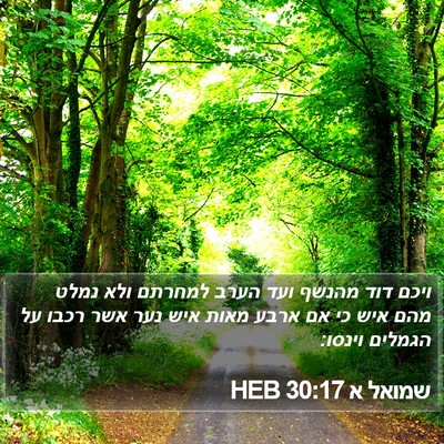 שמואל א 30:17 HEB Bible Verse Image
