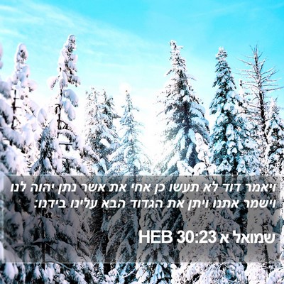 שמואל א 30:23 HEB Bible Verse Image
