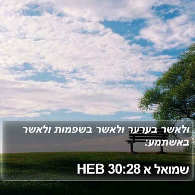 שמואל א 30:28 HEB Bible Verse Image