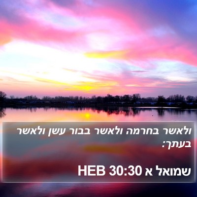 שמואל א 30:30 HEB Bible Verse Image