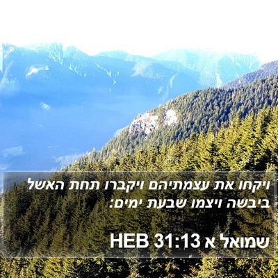 שמואל א 31:13 HEB Bible Verse Image