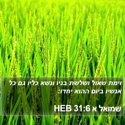 שמואל א 31:6 HEB Bible Verse Image