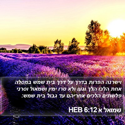 שמואל א 6:12 HEB Bible Verse Image