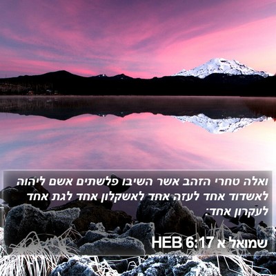 שמואל א 6:17 HEB Bible Verse Image