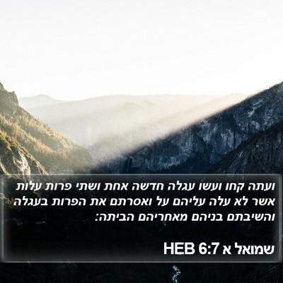 שמואל א 6:7 HEB Bible Verse Image