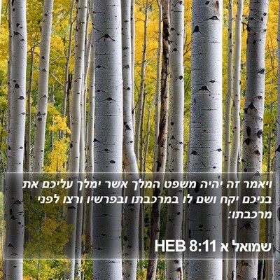שמואל א 8:11 HEB Bible Verse Image