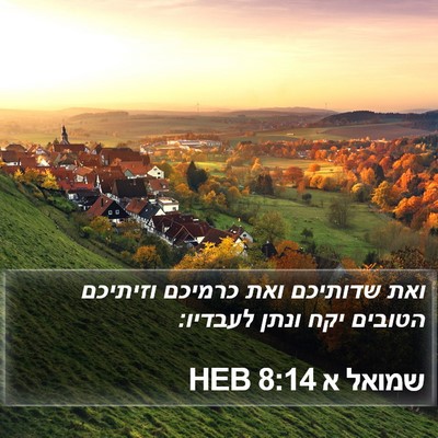 שמואל א 8:14 HEB Bible Verse Image