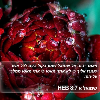 שמואל א 8:7 HEB Bible Verse Image