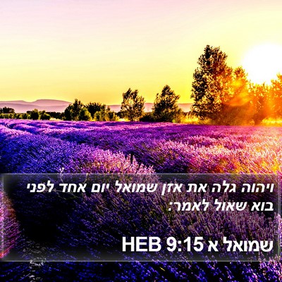 שמואל א 9:15 HEB Bible Verse Image