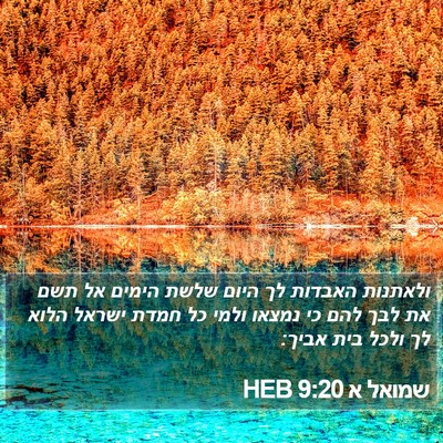 שמואל א 9:20 HEB Bible Verse Image