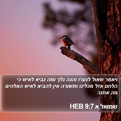 שמואל א 9:7 HEB Bible Verse Image