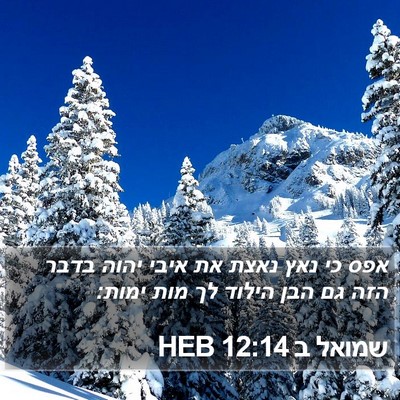 שמואל ב 12:14 HEB Bible Verse Image