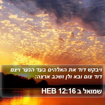 שמואל ב 12:16 HEB Bible Verse Image