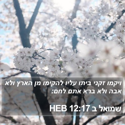 שמואל ב 12:17 HEB Bible Verse Image