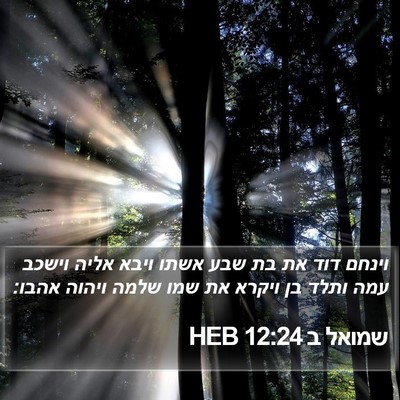 שמואל ב 12:24 HEB Bible Verse Image