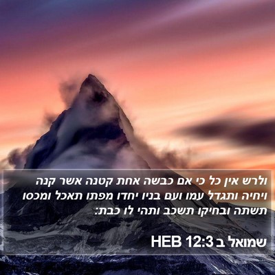 שמואל ב 12:3 HEB Bible Verse Image