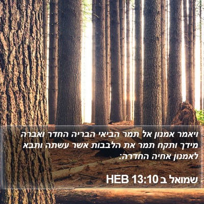 שמואל ב 13:10 HEB Bible Verse Image