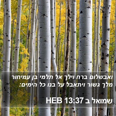 שמואל ב 13:37 HEB Bible Verse Image