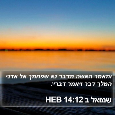 שמואל ב 14:12 HEB Bible Verse Image