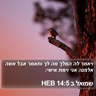 שמואל ב 14:5 HEB Bible Verse Image