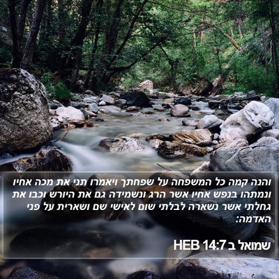 שמואל ב 14:7 HEB Bible Verse Image