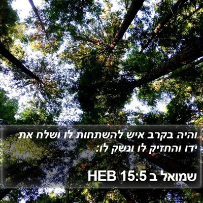 שמואל ב 15:5 HEB Bible Verse Image