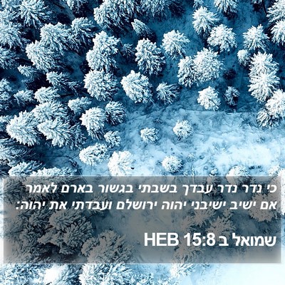 שמואל ב 15:8 HEB Bible Verse Image