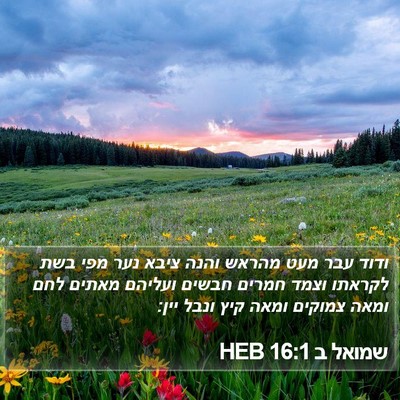 שמואל ב 16:1 HEB Bible Verse Image
