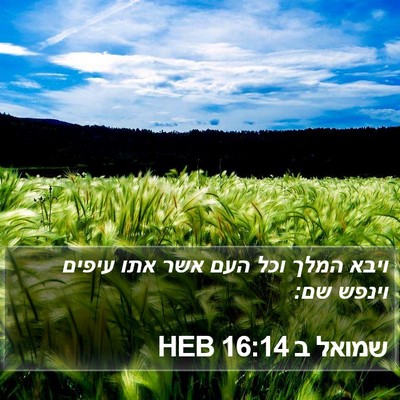שמואל ב 16:14 HEB Bible Verse Image