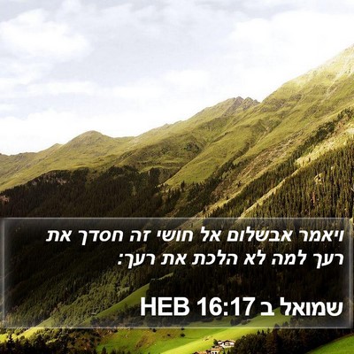 שמואל ב 16:17 HEB Bible Verse Image