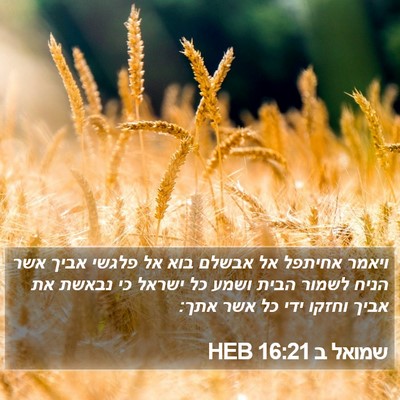 שמואל ב 16:21 HEB Bible Verse Image