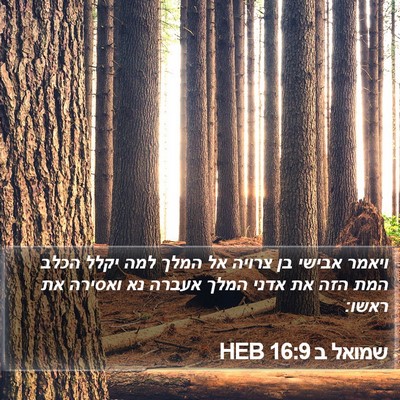 שמואל ב 16:9 HEB Bible Verse Image
