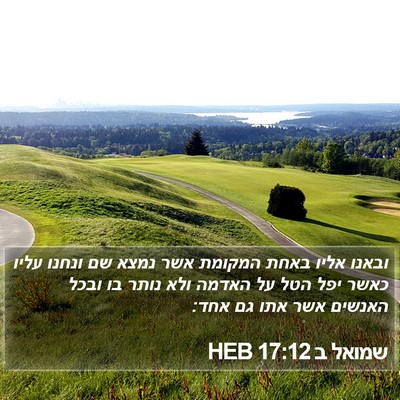 שמואל ב 17:12 HEB Bible Verse Image