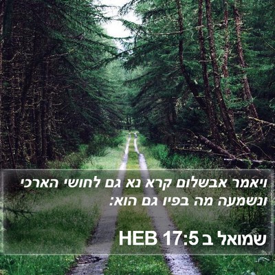 שמואל ב 17:5 HEB Bible Verse Image