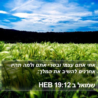שמואל ב 19:12 HEB Bible Verse Image