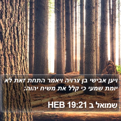 שמואל ב 19:21 HEB Bible Verse Image