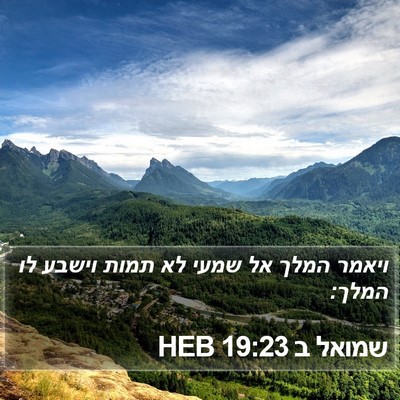 שמואל ב 19:23 HEB Bible Verse Image