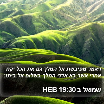 שמואל ב 19:30 HEB Bible Verse Image