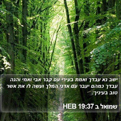 שמואל ב 19:37 HEB Bible Verse Image