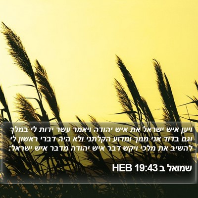 שמואל ב 19:43 HEB Bible Verse Image