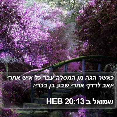 שמואל ב 20:13 HEB Bible Verse Image