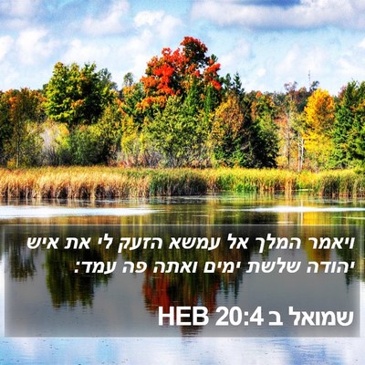 שמואל ב 20:4 HEB Bible Verse Image