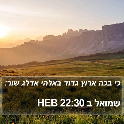 שמואל ב 22:30 HEB Bible Verse Image