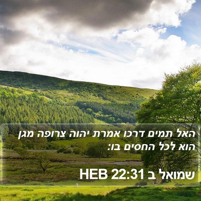 שמואל ב 22:31 HEB Bible Verse Image