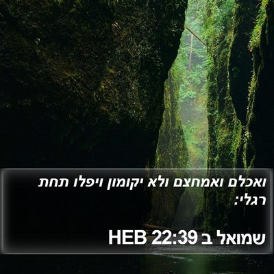 שמואל ב 22:39 HEB Bible Verse Image