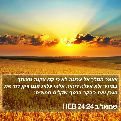שמואל ב 24:24 HEB Bible Verse Image