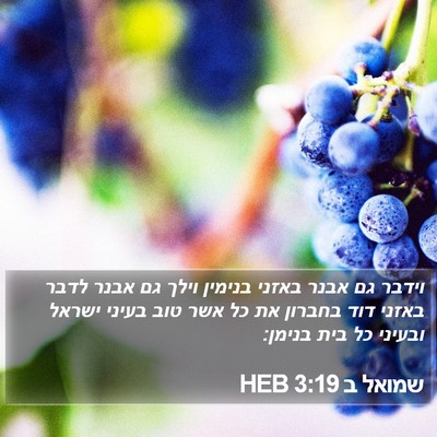 שמואל ב 3:19 HEB Bible Verse Image