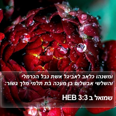 שמואל ב 3:3 HEB Bible Verse Image