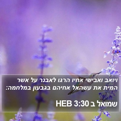שמואל ב 3:30 HEB Bible Verse Image